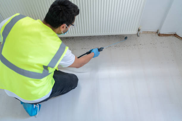 Best Fumigation Services  in Raeford, NC